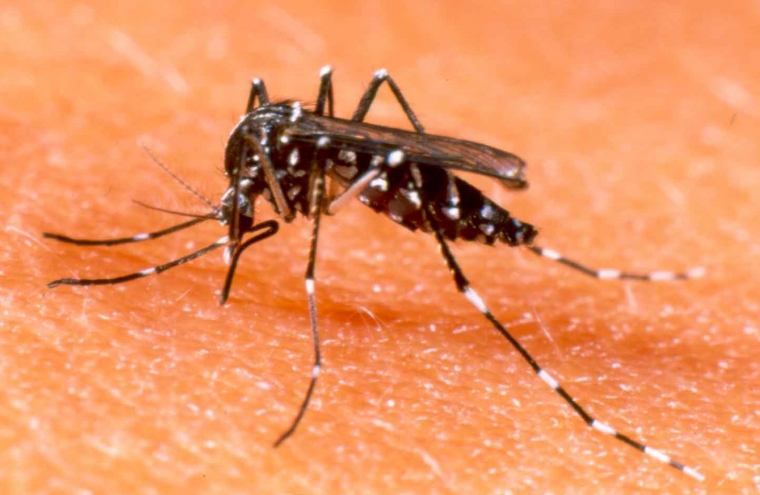 Dia D contra o Aedes aegypti acontece em Nova Laranjeiras